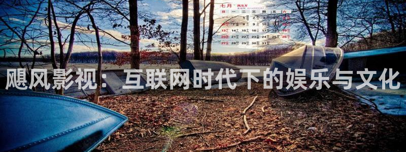 798电影网电视剧免费观看高清：飓风影视：互联网时代下的娱乐与文化