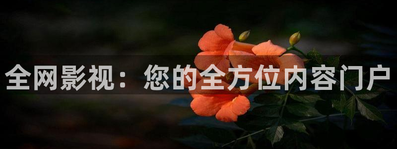 98影视网：全网影视：您的全方位内容门户