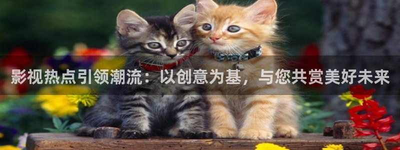 请回答1988在线观看免费观看西瓜